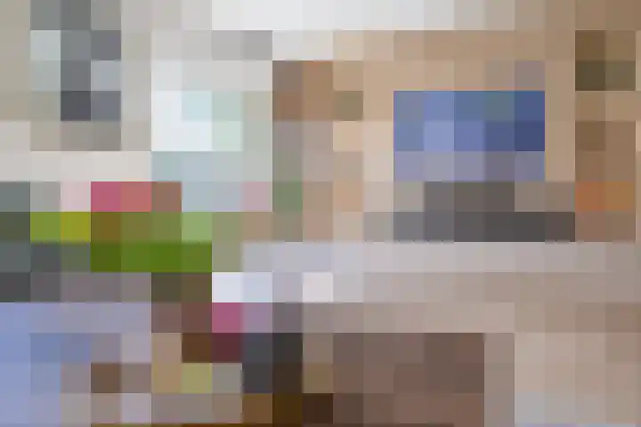 Leeuwebek 2 Oldenzaal thumbnail 11