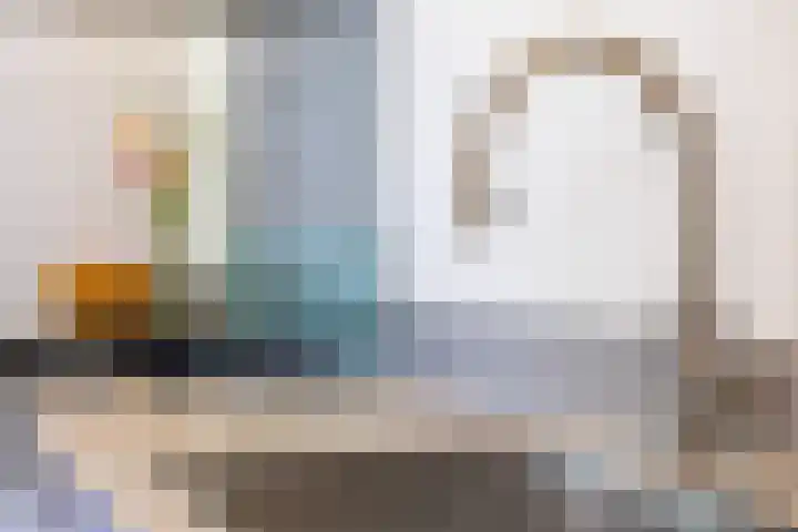 Leeuwebek 2 Oldenzaal thumbnail 15