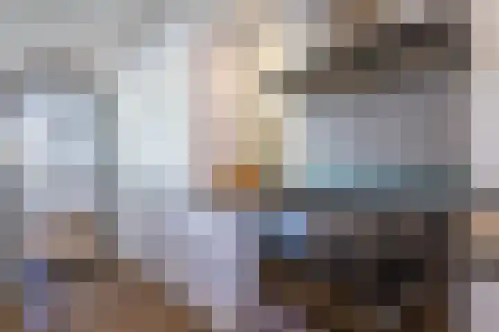 Leeuwebek 2 Oldenzaal thumbnail 16