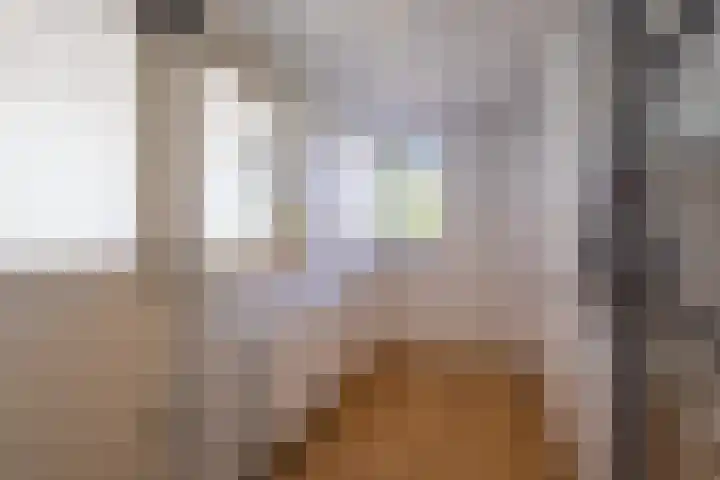 Leeuwebek 2 Oldenzaal thumbnail 17
