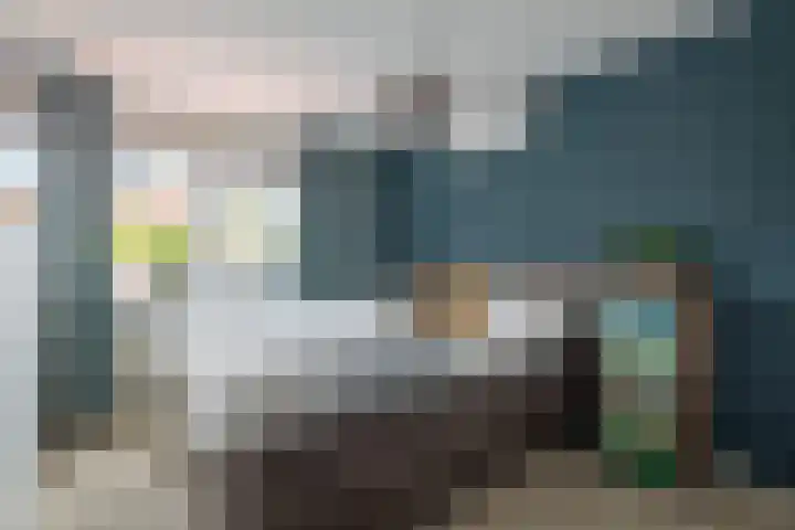 Leeuwebek 2 Oldenzaal thumbnail 20