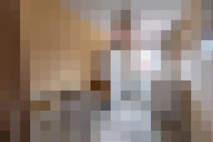 Leeuwebek 2 Oldenzaal thumbnail 22