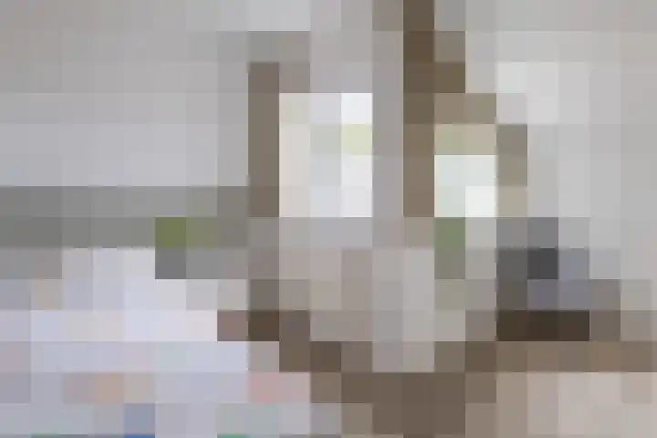 Leeuwebek 2 Oldenzaal thumbnail 25
