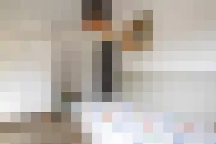 Leeuwebek 2 Oldenzaal thumbnail 27