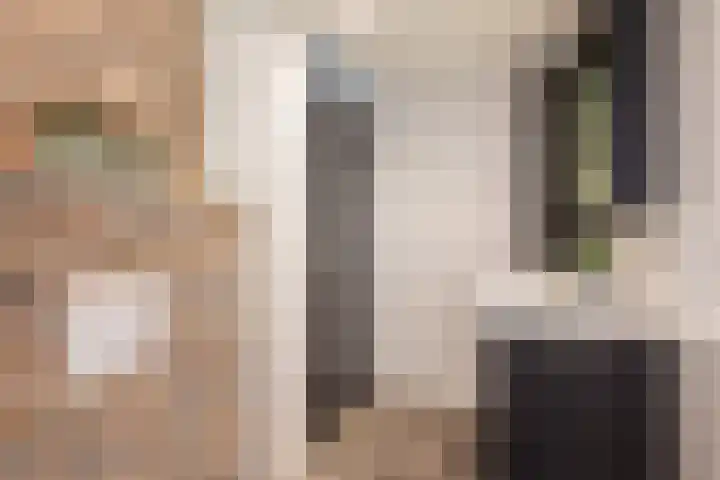 Leeuwebek 2 Oldenzaal thumbnail 30