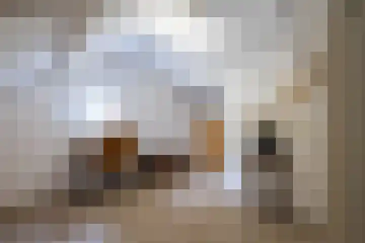 Leeuwebek 2 Oldenzaal thumbnail 32