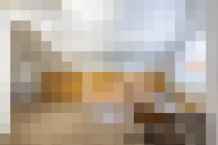 Leeuwebek 2 Oldenzaal thumbnail 33