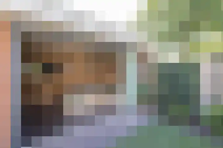 Leeuwebek 2 Oldenzaal thumbnail 36