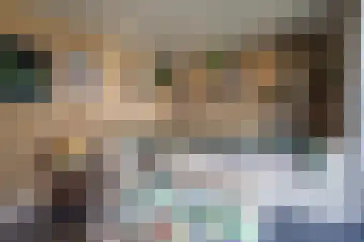 Leeuwebek 2 Oldenzaal thumbnail 37
