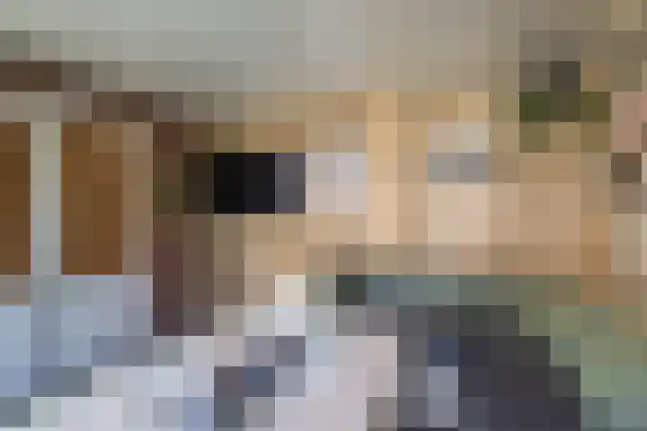 Leeuwebek 2 Oldenzaal thumbnail 38