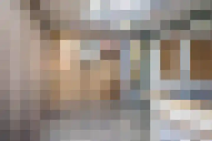 Leeuwebek 2 Oldenzaal thumbnail 39