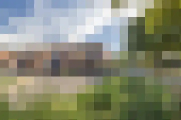 Leeuwebek 2 Oldenzaal thumbnail 42