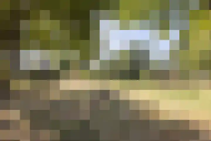 Leeuwebek 2 Oldenzaal thumbnail 43