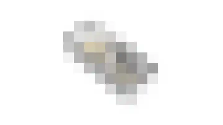 Leeuwebek 2 Oldenzaal thumbnail 48