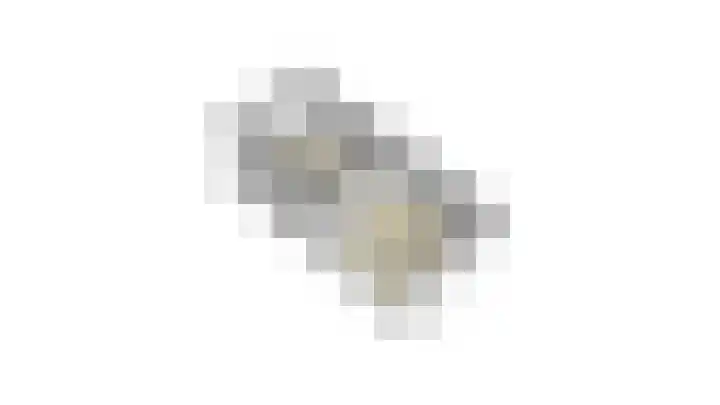 Leeuwebek 2 Oldenzaal thumbnail 49