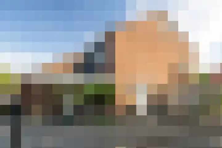 Leeuwebek 2 Oldenzaal thumbnail 5