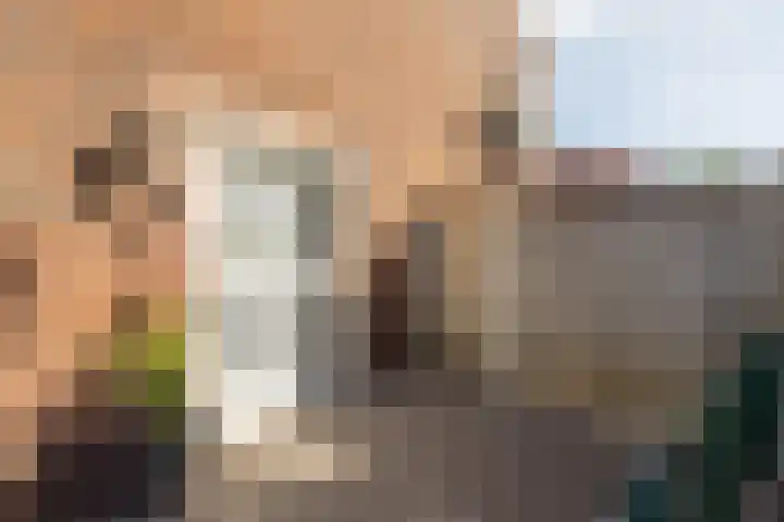 Leeuwebek 2 Oldenzaal thumbnail 6