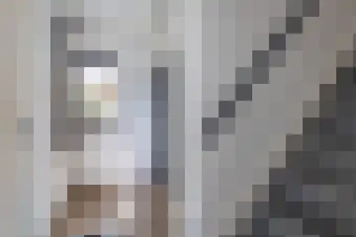 Leeuwebek 2 Oldenzaal thumbnail 7