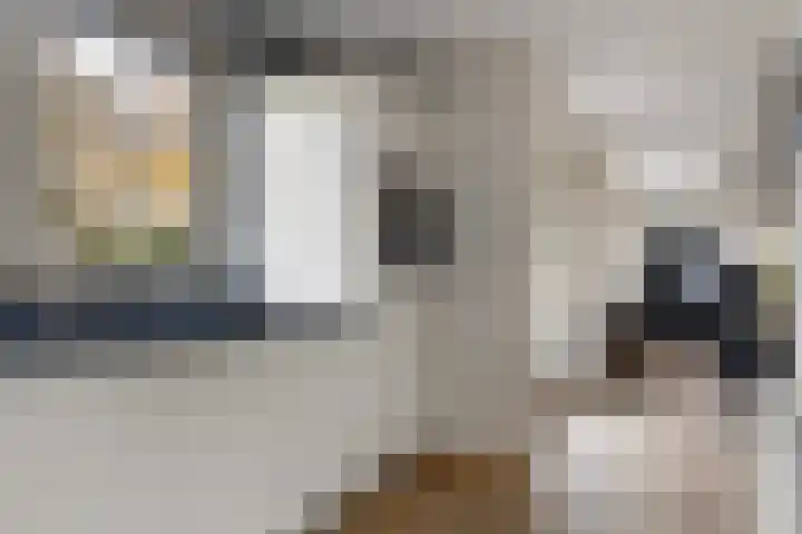 Leeuwebek 22 Nijverdal thumbnail 14