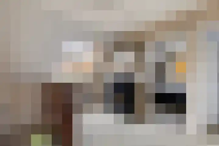 Leeuwebek 22 Nijverdal thumbnail 15