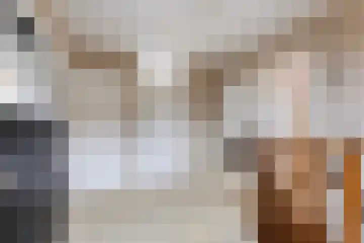 Leeuwebek 22 Nijverdal thumbnail 16