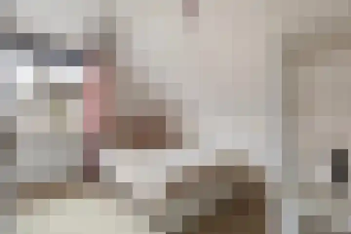 Leeuwebek 22 Nijverdal thumbnail 18