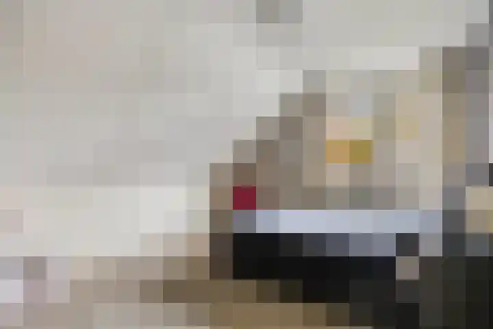 Leeuwebek 22 Nijverdal thumbnail 19