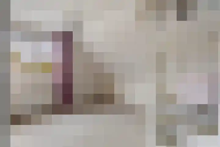 Leeuwebek 22 Nijverdal thumbnail 20