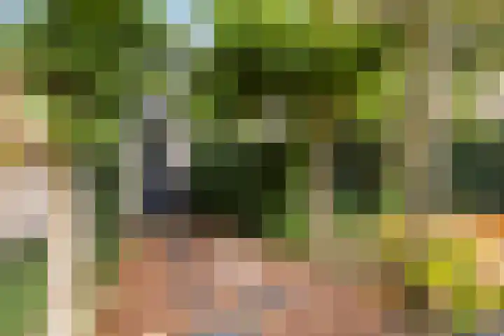 Leeuwebek 22 Nijverdal thumbnail 24