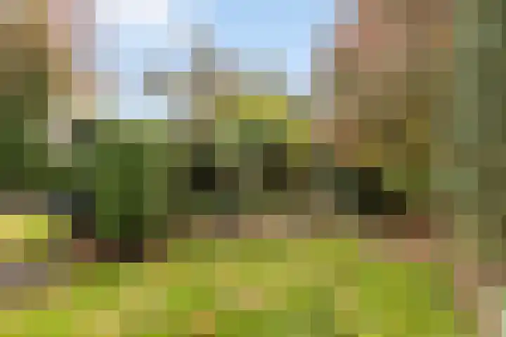 Leeuwebek 22 Nijverdal thumbnail 25