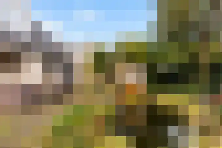 Leeuwebek 22 Nijverdal thumbnail 26