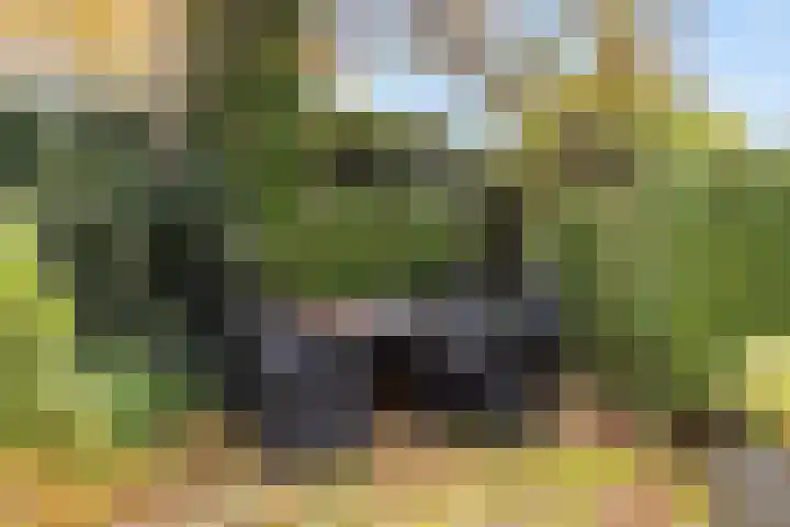 Leeuwebek 22 Nijverdal thumbnail 27