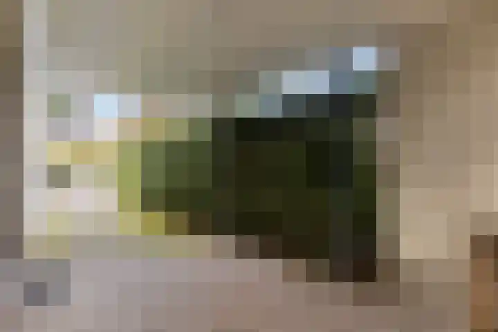 Leeuwebek 22 Nijverdal thumbnail 30