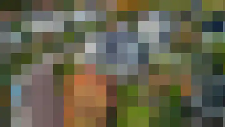 Leeuwebek 22 Nijverdal thumbnail 4