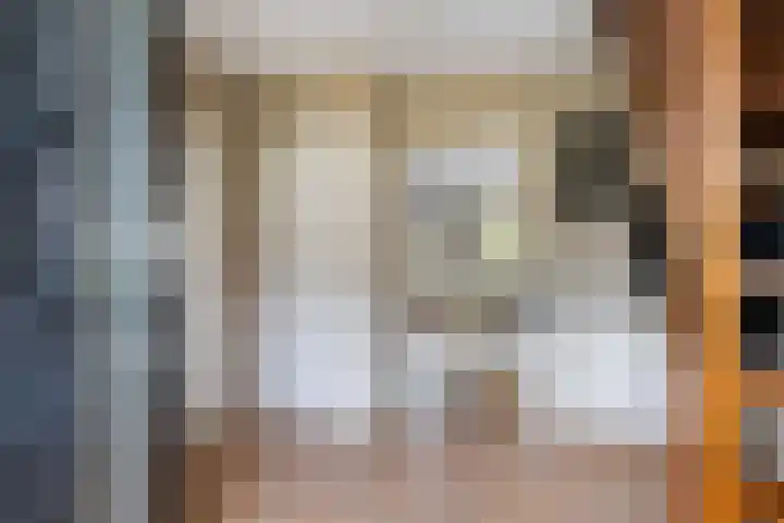 Leeuwebek 22 Nijverdal thumbnail 7