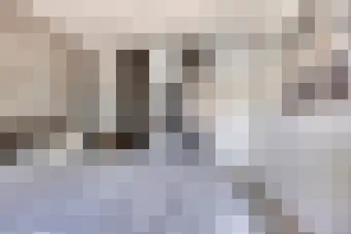 Leeuwebek 23 Oldenzaal thumbnail 11