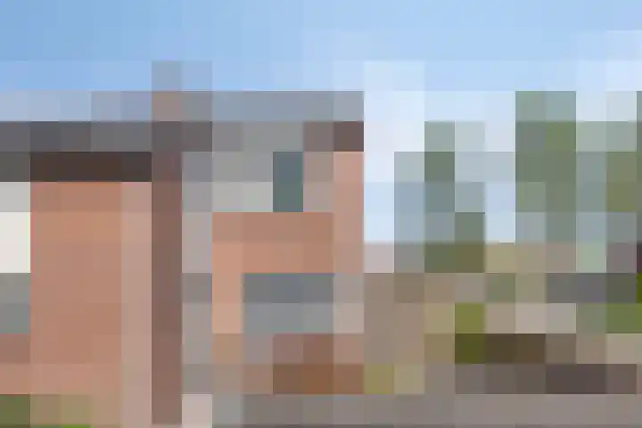 Leeuwebek 23 Oldenzaal thumbnail 21