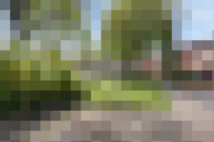 Leeuwebek 23 Oldenzaal thumbnail 22