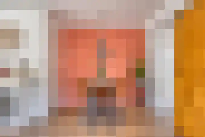 Leeuwebek 23 Oldenzaal thumbnail 5