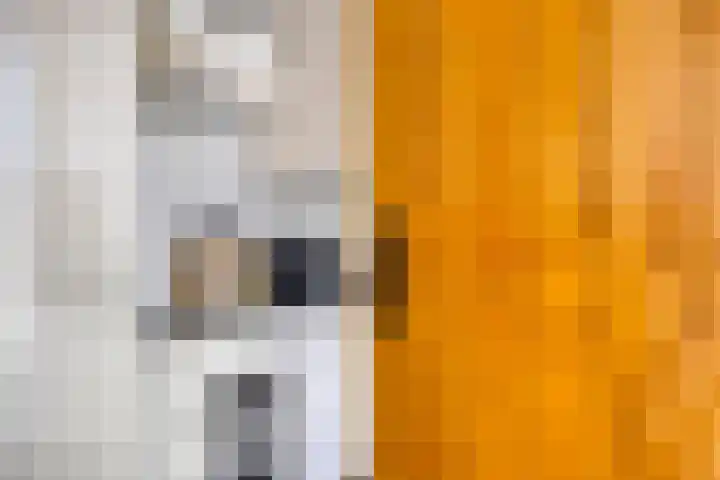 Leeuwebek 23 Oldenzaal thumbnail 6