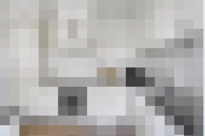 Leeuwebek 23 Oldenzaal thumbnail 8