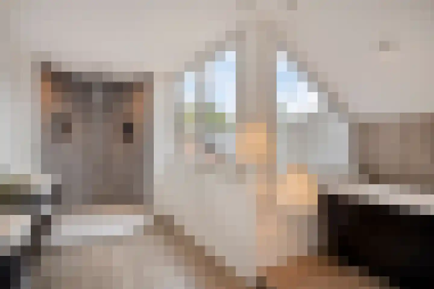 Leeuwebek 34 Oldenzaal thumbnail 21