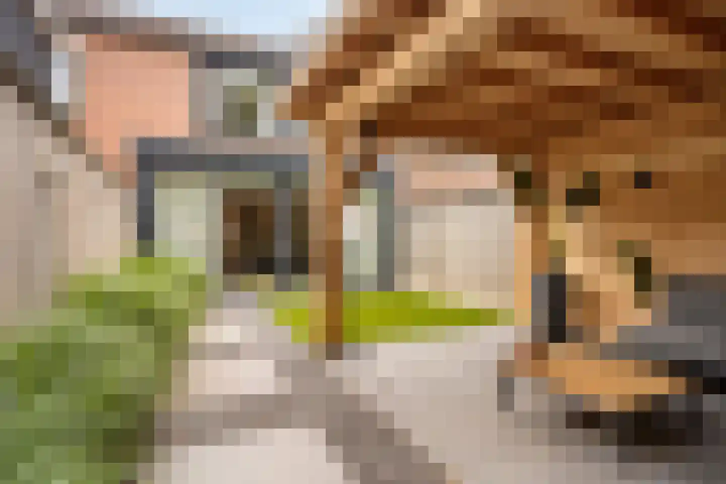 Leeuwebek 34 Oldenzaal thumbnail 27