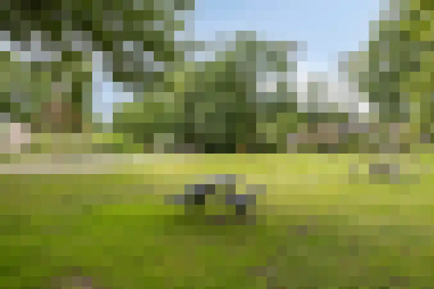 Leeuwebek 34 Oldenzaal thumbnail 33