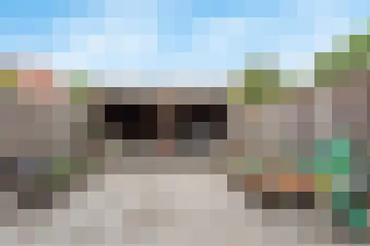 Leeuwebek 50 Oldenzaal thumbnail 17