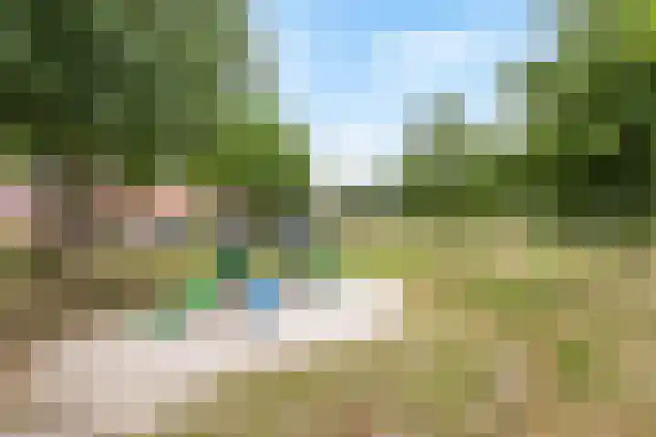 Leeuwebek 50 Oldenzaal thumbnail 19