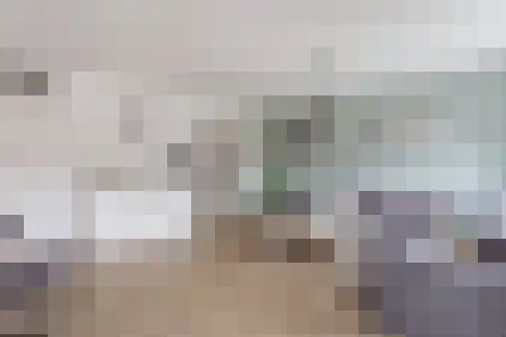Leeuwebek 50 Oldenzaal thumbnail 8