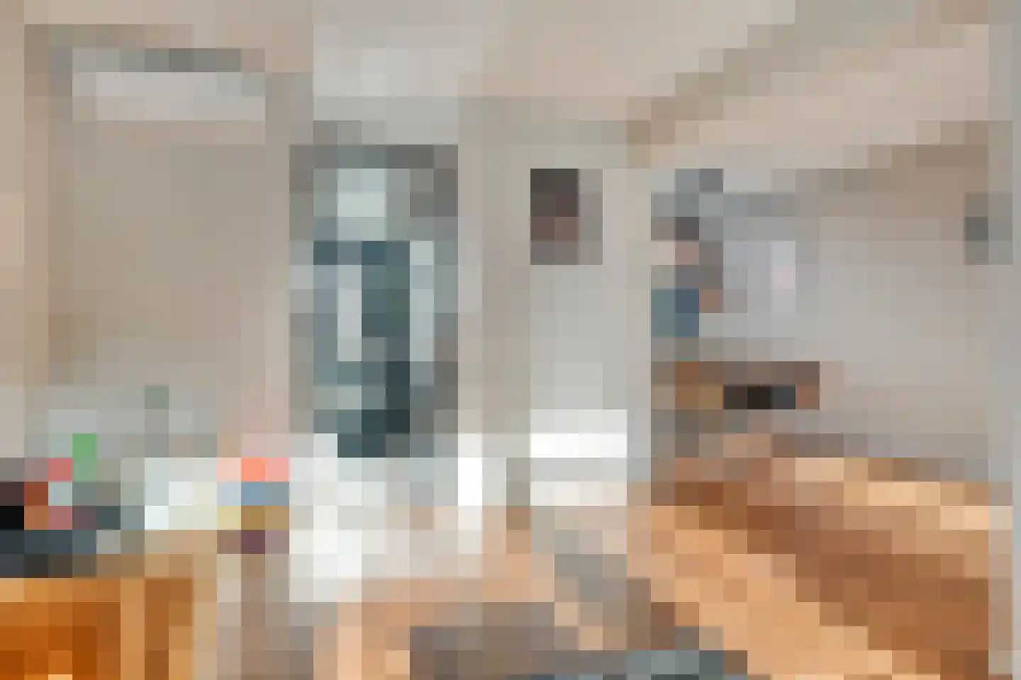 Leeuwebekstraat 1 Barneveld thumbnail 11