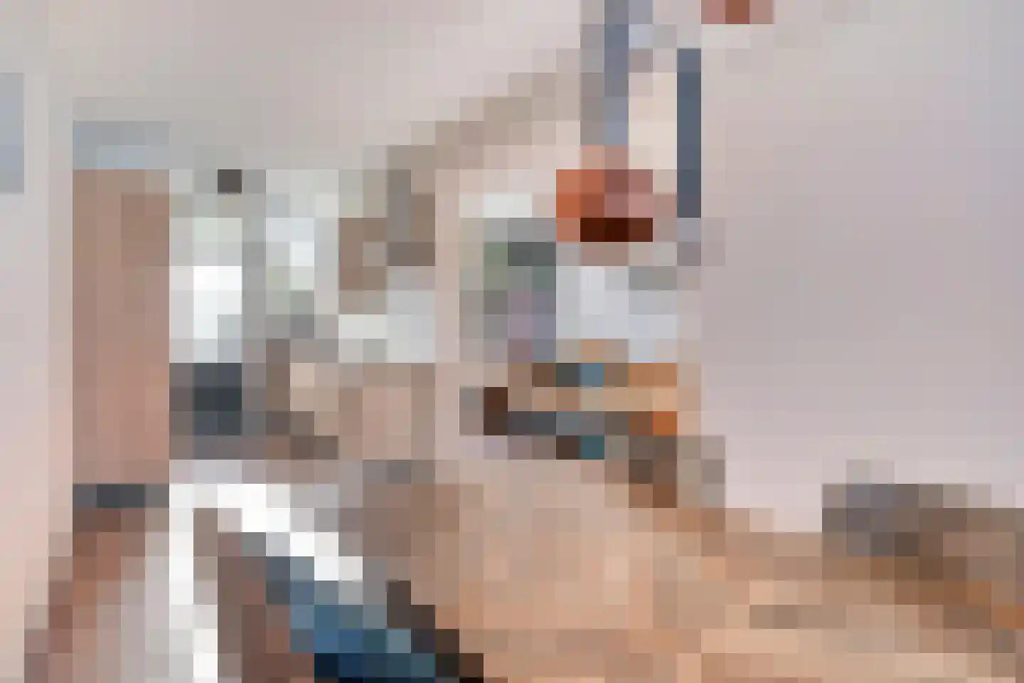 Leeuwebekstraat 1 Barneveld thumbnail 13