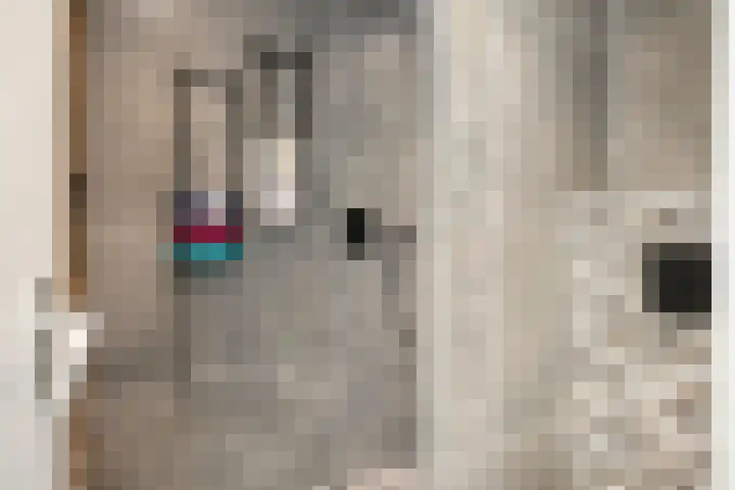 Leeuwebekstraat 1 Barneveld thumbnail 19